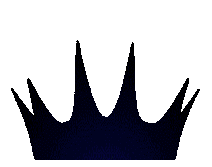 Site Adminleri