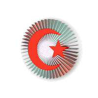 ampiyon 1